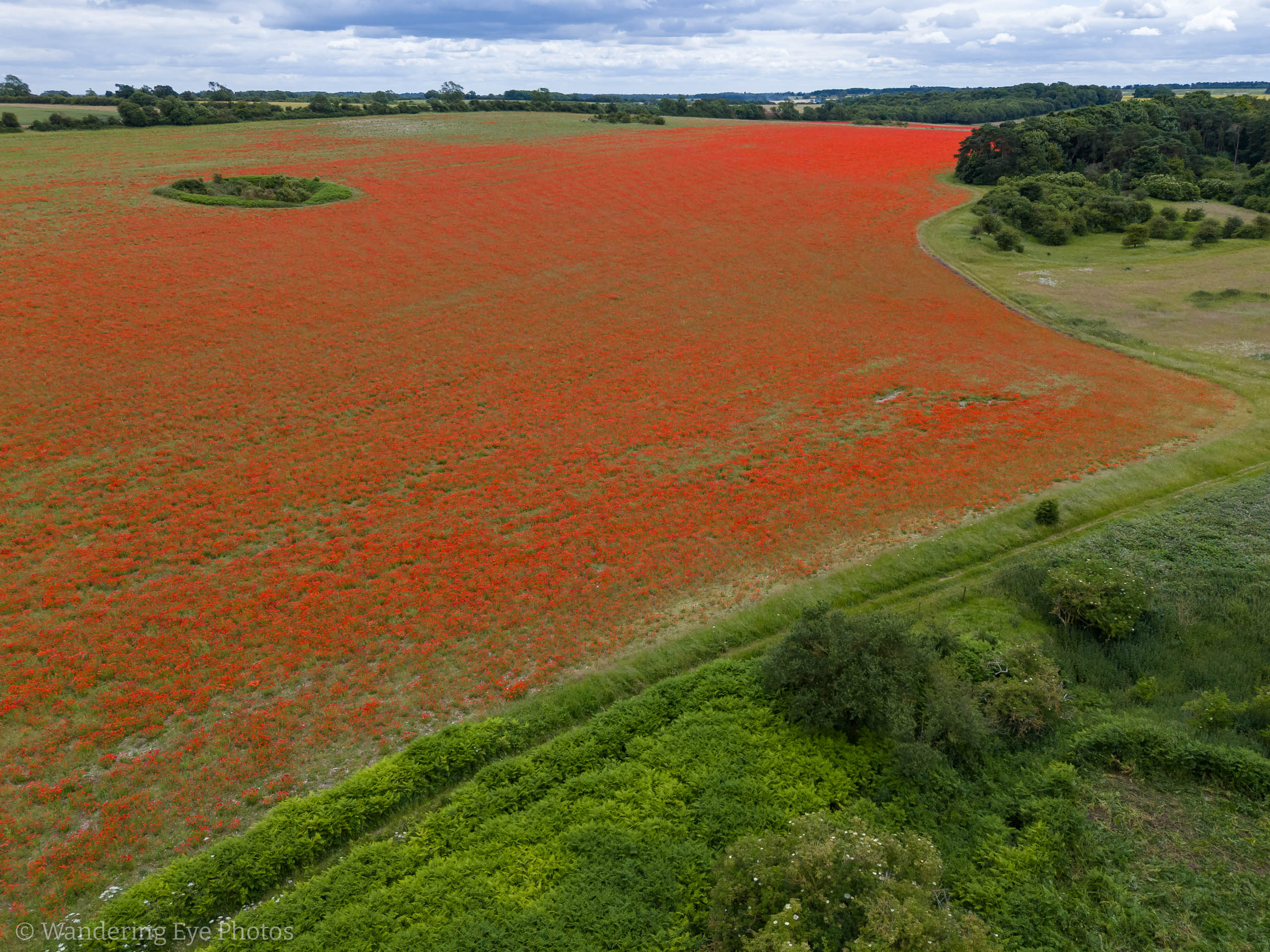 06.28 12.01.58   DJI 20240628120158 0013 D